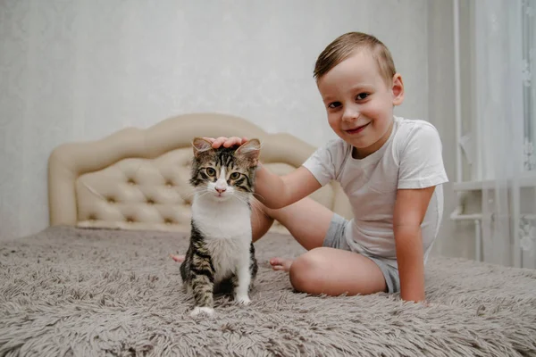 Little boy stroking a cat in bed.Portrait of Caucasian preschooler boy sitting on bed in bedroom at home and stroking cat.