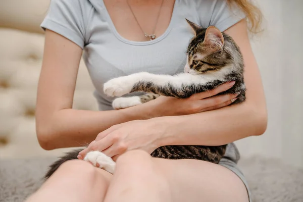 Νεαρή Γυναίκα Που Κρατάει Γάτα Στο Χέρι Κορίτσι Γάτα Όμορφη — Φωτογραφία Αρχείου