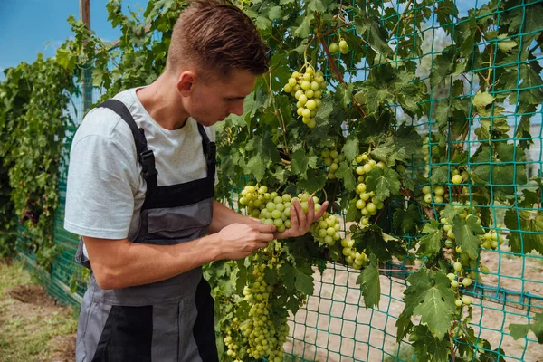 Sorridente Felice Proprietario Giovane Uomo Caucasico Che Lavora Giardinaggio Sua — Foto Stock