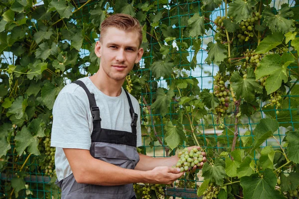 Sorridente Felice Proprietario Giovane Uomo Caucasico Che Lavora Giardinaggio Sua — Foto Stock