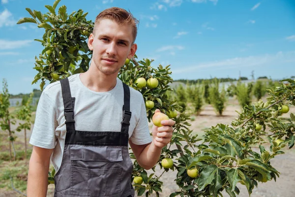 Contadino Con Una Mela Mano Felice Giovane Agricoltore Maschio Tuta — Foto Stock