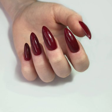 Kırmızı manikür. Tırnaklarında kırmızı manikür olan bir kadının elleri. Manikür güzellik salonu konsepti. Metin veya logo için boş yer.