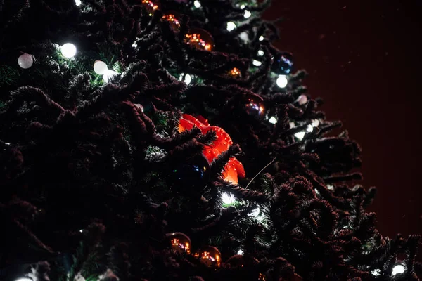 Stort Juletræ Byens Torv Belysning Dekorationer Vinteren - Stock-foto