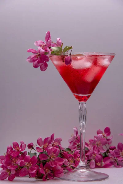 Vidro Martini Vidro Preenchido Com Uma Bebida Alcoólica Vermelha Com — Fotografia de Stock