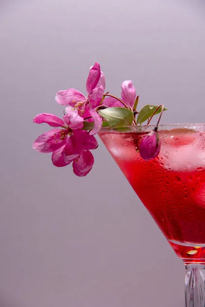 Ein Rotes Alkoholisches Getränk Mit Eis Wird Ein Martini Glas — Stockfoto