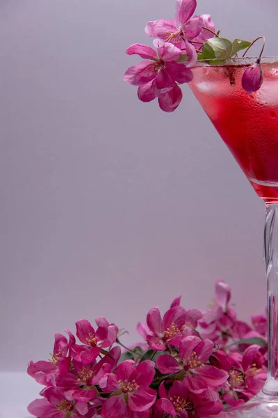 Uma Bebida Doce Vermelha Com Gelo Copo Martini Decorada Com — Fotografia de Stock
