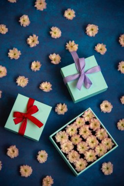 İki hediye kutuları kapalı ve yay ile dekore edilmiş, üçüncü kutu açık, bu kutuda badem çiçekleri, kutuları etrafında mavi bir arka plan üzerinde bahar çiçekleri vardır.