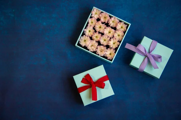 Two small gift boxes are closed and decorated with bows, in the third open box are almond flowers, all gift boxes are located on a blue background.