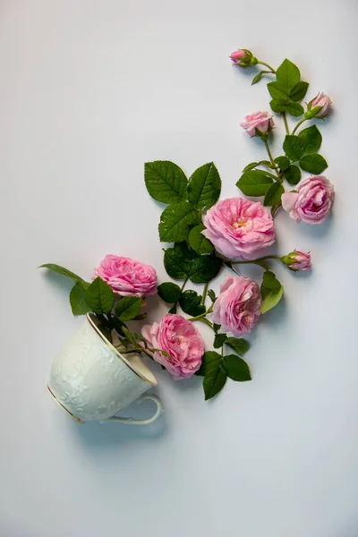 Delicate Bouquet Tea Pink Roses Lies White Cup Gold Border — Stock Photo, Image