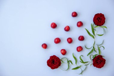 Olgun tatlı kiraz, koyu kırmızı güller, beyaz bir arka plan üzerinde söğüt dalları.