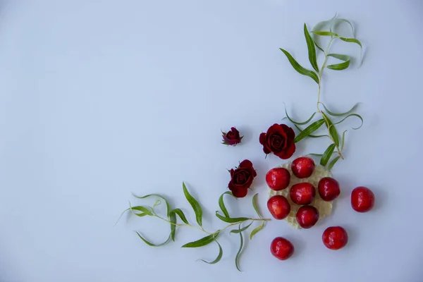 在圆形华夫饼和附近 深红色的玫瑰 白色背景上的柳枝的成熟樱桃 — 图库照片