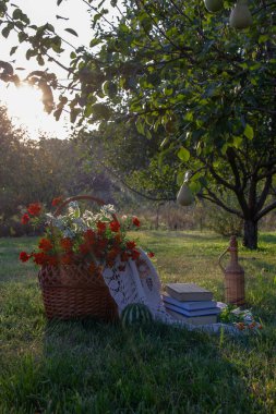 Çiçek açan kadife çiçeği buketi ile bir hasır sepet, dallardan yapılmış bir hasır şişe, güzel bir masa örtüsü, bir ağaç üzerinde olgun bir armut ile yeşil bir bahçede birkaç kitap.
