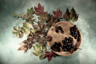 Tahta bir tabakta olgun üzümler. Parlak sonbahar yapraklı bir üzüm dalı. Sonbahar sakin bir hayat.