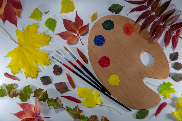Folhas Outono Brilhantes Uma Paleta Com Tintas Pincéis Para Pintura — Fotografia de Stock