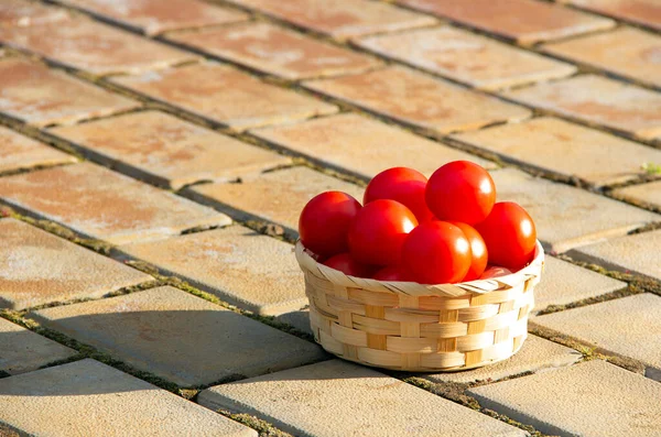 Cesta Ramitas Con Tomates Rojos Maduros Camino Ladrillo Decorativo Afuera —  Fotos de Stock