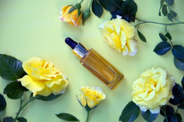 Kozmetik serumu ve sarı güllerle dolu cam bir şişe. Doğal Organik Spa Kozmetik Konsepti. Düz yat, boşluğu kopyala.