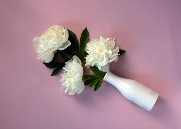 Прекрасный Букет Свежих Белых Пионов Белой Вазе Розовом Фоне Концепция — стоковое фото