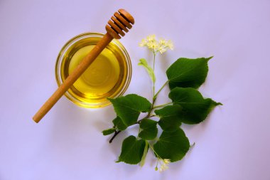 Ballı cam yuvarlak tabak, bal için yuvarlak bir tahta sopa, çiçekli ıhlamur dalı. Sağlıklı gıda konsepti. Düz yat, boşluğu kopyala.