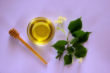 Ballı cam yuvarlak tabak, bal için yuvarlak bir tahta sopa, çiçekli ıhlamur dalı. Sağlıklı gıda konsepti. Düz yat, boşluğu kopyala.