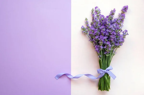 Creative layout of fresh lavender on pink and purple background. Greeting card. Minimalism. Nature background. Top view, flat lay, copy space.