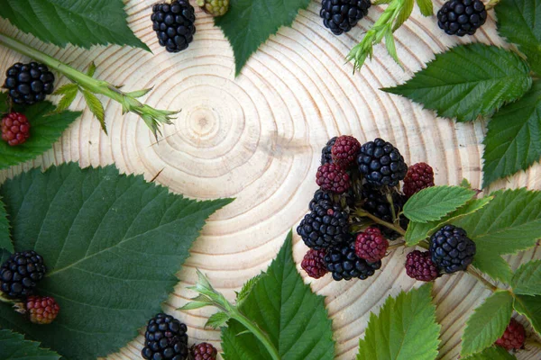 Creative layout with ripe blackberries on a wooden stump. Nature background. Healthy food concept.  Flat lay. Copy space.