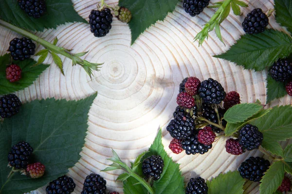 Creative Layout Ripe Blackberries Wooden Stump Nature Background Healthy Food — Stock Photo, Image