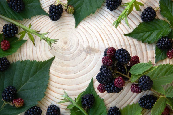 Layout with ripe blackberries. Wooden natural background. Minimal nature concept with creative copy space. Healthy food concept. Top view, flat lay.