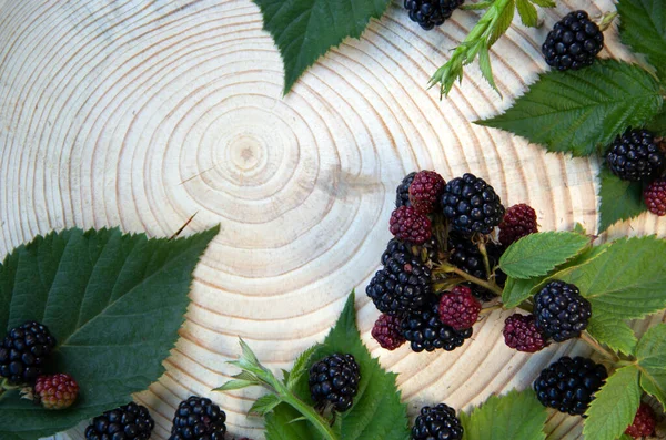 Creative Layout Ripe Blackberries Wooden Stump Nature Background Healthy Food — Stock Photo, Image