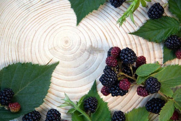 Trendy Layout Ripe Blackberries Wooden Natural Background Minimal Nature Concept — Stock Photo, Image