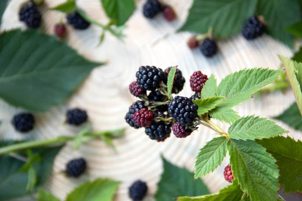 Fresh Blackberries Green Leaves Garden Healthy Nutrition Concept Nature Background — Stock Photo, Image