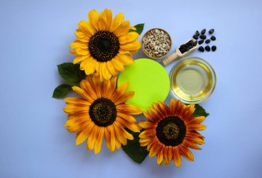 Ayçiçeği çiçekleri, ayçiçeği yağı, tohum ve kağıt çemberlerin yaratıcı düzeni. Minimalizm. Doğa geçmişi. Üst görünüm, düz görünüm, kopyalama alanı.