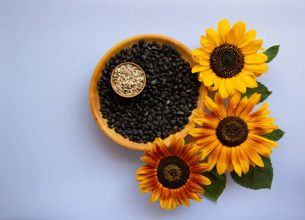 Creative layout of sunflower flowers and a plate of seeds. Minimalism. Healthy food concept. Top view, flat lay, copy space.