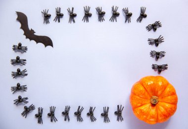 Cadılar Bayramı 'nın arka planında bal kabağı, yarasa ve örümcekler vardı. Uzayı metin için kopyala. Kutlama konsepti.