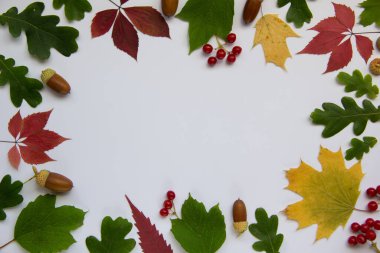 Sonbahar yaprakları, meşe palamutları ve viburnum meyveleriyle birlikte yaratıcı düz bir kompozisyon. Yaratıcı kopya alanı olan sonbahar arkaplanı. Düz konum, üst görünüm, kopyalama alanı.