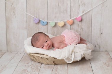 Portrait of a 2 week old newborn baby girl wearing frilly, pink bloomers. She is lying in a wooden bowl and there is a heart garland in the background. clipart