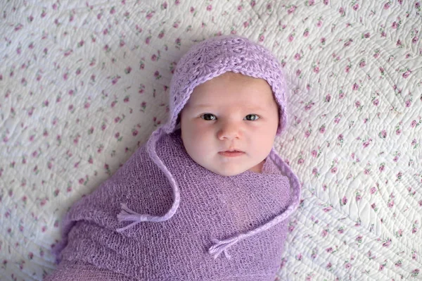 ボンネットを身に着けているとラベンダー パープル ラップで Swaddled ヵ月の赤ちゃん — ストック写真