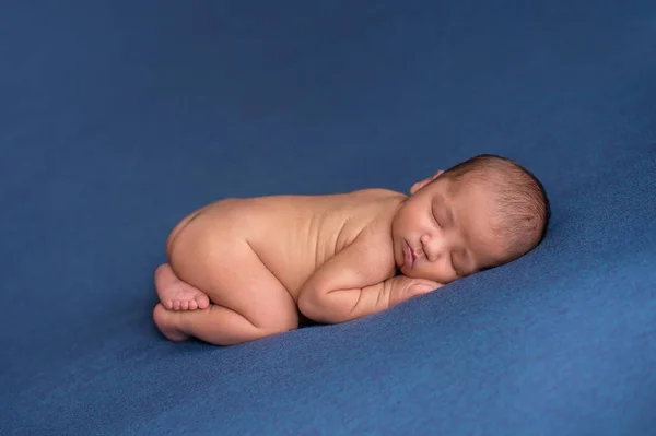九天大的新生儿睡在他的肚子上 在工作室拍摄的牛仔布蓝色织物 — 图库照片