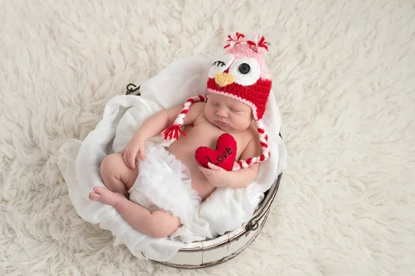 Een Meisje Van Negen Dagen Oude Pasgeboren Baby Dragen Van — Stockfoto