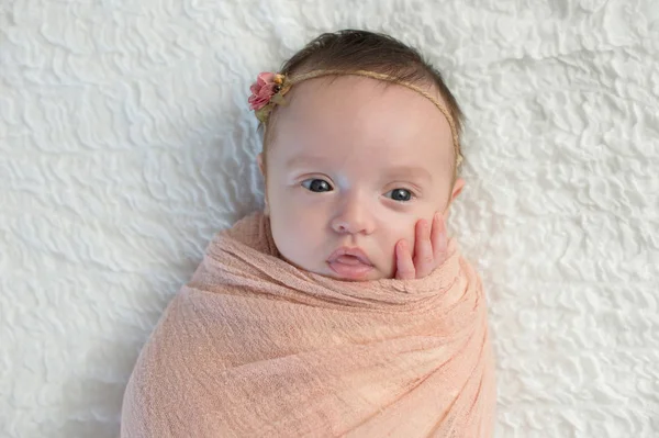 Ingebakerd waakzame babymeisje — Stockfoto