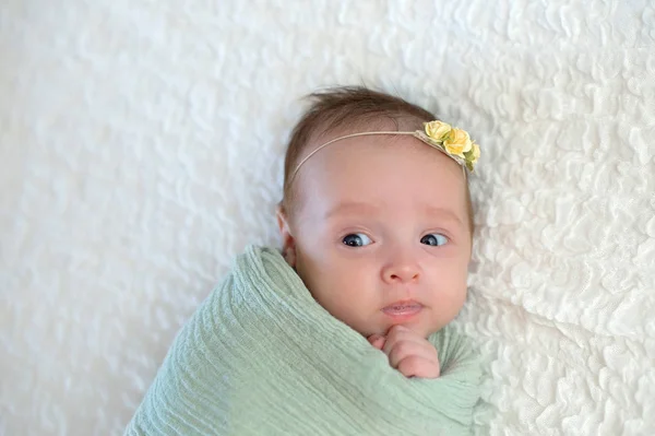 Ingebakerd waakzame babymeisje — Stockfoto