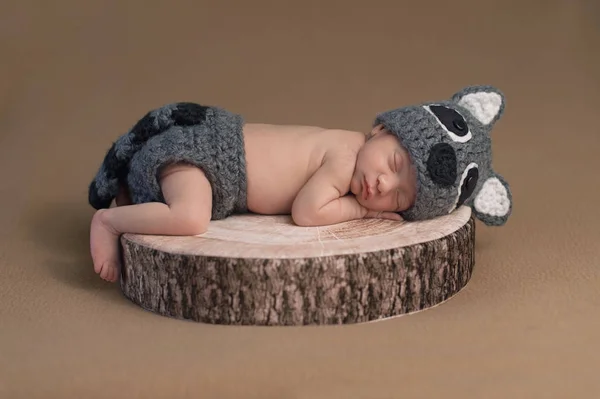Rakun kostüm giyen erkek yeni doğan bebek — Stok fotoğraf