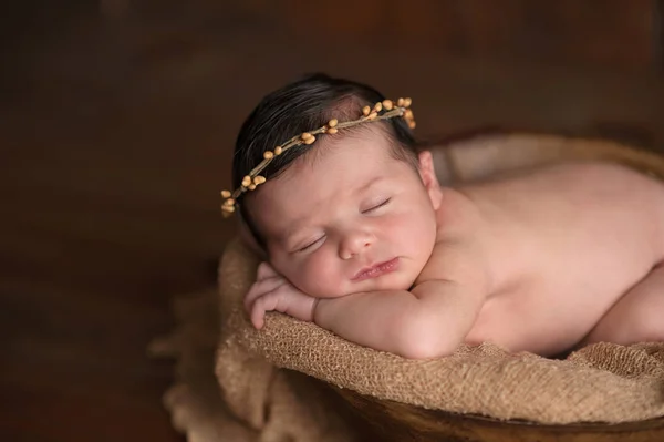 Pasgeboren babymeisje draagt een kroon Twig Stockafbeelding