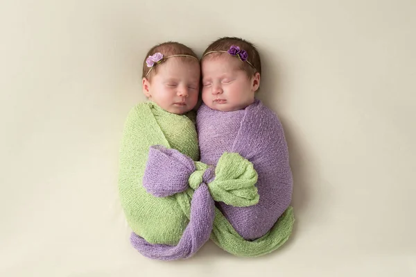Brüderliche neugeborene Zwillingsmädchen Stockbild