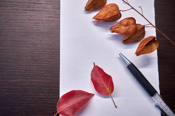 Autumn Leaves Pen Paper Table — Stock Photo, Image