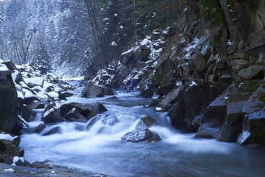 Güzel nehir. Şelale ve ormandaki nehir