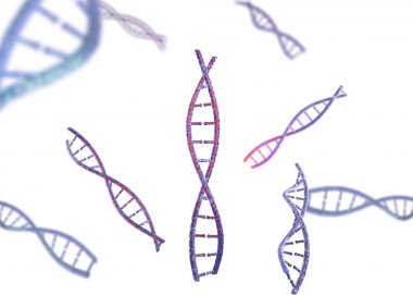 3D model DNA 'sı. 3B oluşturma kalıtım. 3D görüntü DNK molekül.