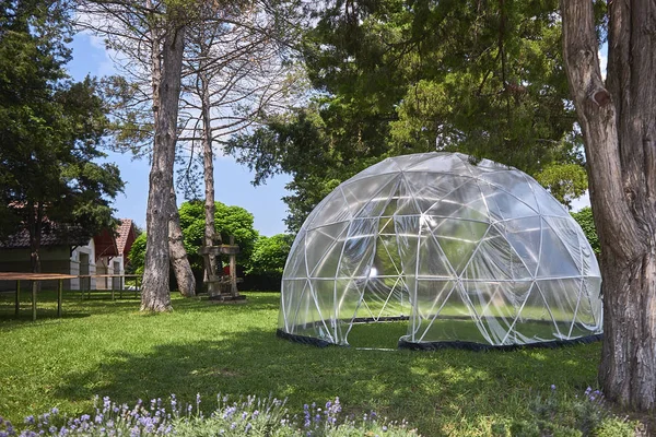 Yeşil bir çim üzerinde büyük bir şeffaf çadır var.