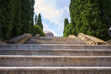 malikaneye çıkan merdivenler. yeşil ardıç arou dikilir