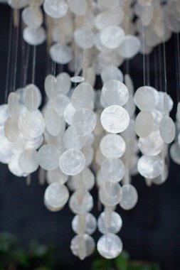 Kabuklar tarafından yapılmış lamba