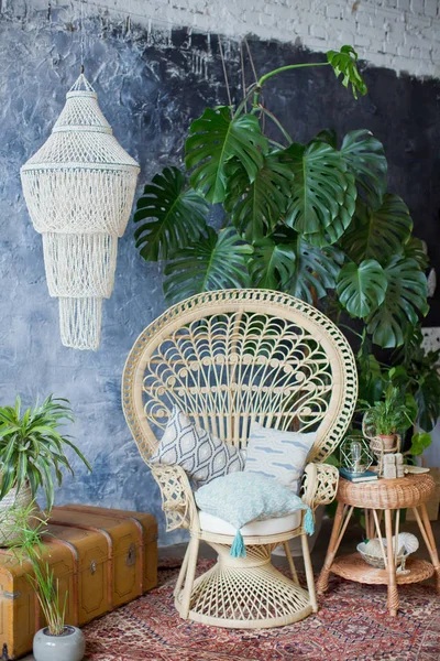 Rotan Pauw stoel en grote Monstera plant in Loft Kamer — Stockfoto